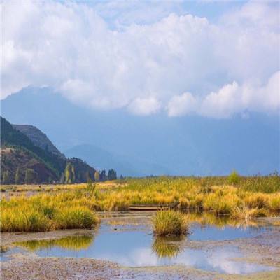 小米版迷城物语手游下载